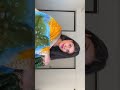 Hona tha pyaar 🧡 #trending #shorts #viralvideo