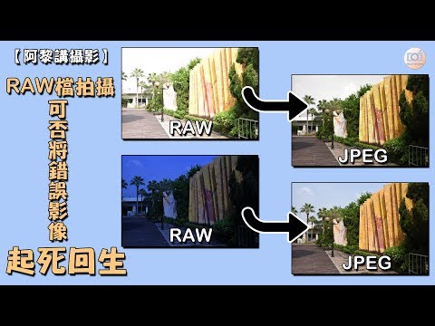 【 阿黎攝影教學 】相機RAW檔與JPEG檔分別｜Difference between RAW or JPEG ？