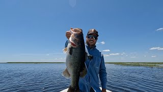 Power fishing for BIG Florida Bass