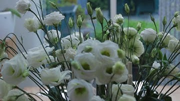 Practice Focus Peaking Magic Lantern