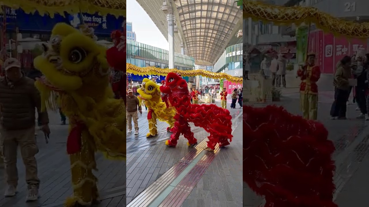 Dragon and Lion Dance Moments &mdash; Traditional Chinese Festival Performances
