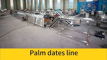 2025 New Palm dates washing sorting drying vacuum packing line