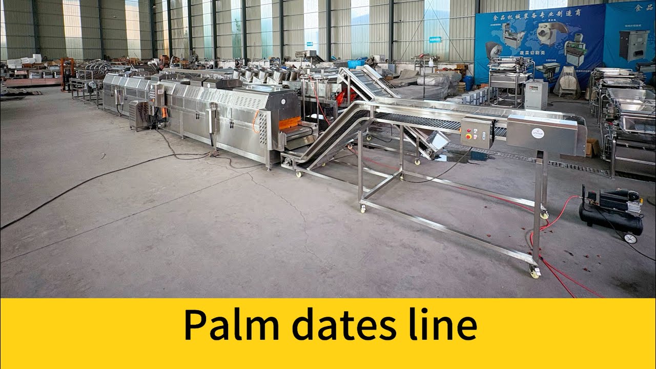 2025 New Palm dates washing sorting drying vacuum packing line