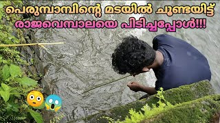 പരമപമപനറ മടയൽ ചണടയടട രജവമപലയ പടചചപപൾKerala Fishingdeepu Babu