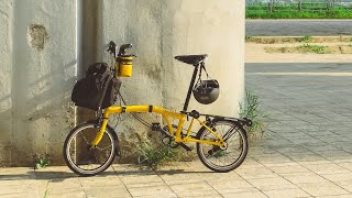 브롬톤 c라인 범블비 (brompton bumblebee)