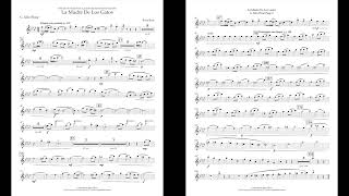 La Madre De Los Gatos (G Alto Flute part) by Brian Beck