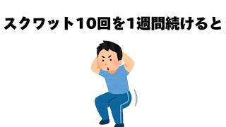 筋トレに関する有益な雑学