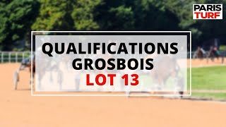 Qualifications Grosbois – Trot attelé – Lot 13 du 10/06/2022