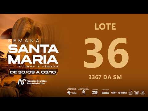 LOTE 36 FSM A3367