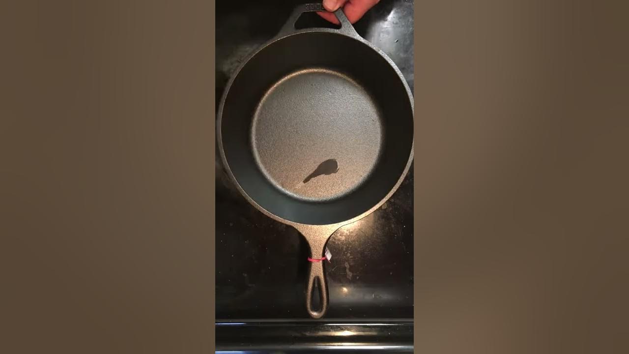 Lodge L8DSK3 10 1/4 Pre-Seasoned Cast Iron Deep Skillet