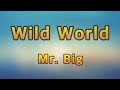 Mr. Big - Wild World(Lyrics)