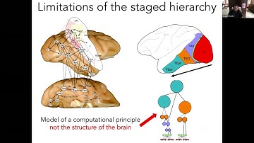 Keynote: Predicting functional organization and its impact on behavior.