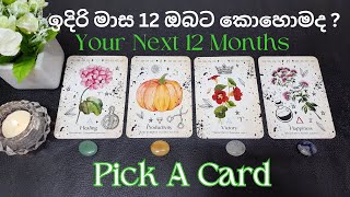 ඉදිරි මාස 12 ඔබට කොහොමද ? | Timeless Reading | Tarot Sinhala