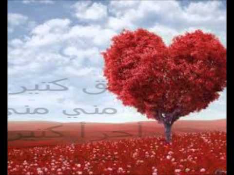 Mohamed Mounir محمد منير - قلبي ميشبهنيش