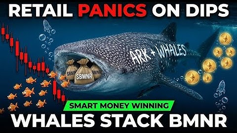 The BMNR Shark Tank: Why ARK & BlackRock Are Eating The Little Guys
