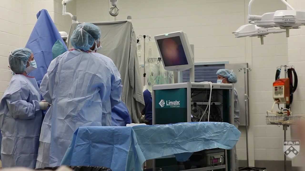 The Value of Penn Vet University of Pennsylvania School of Veterinary