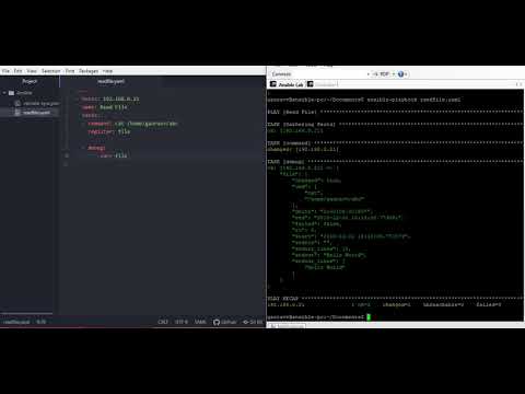 3. NetApp Connectivity using Ansible modules