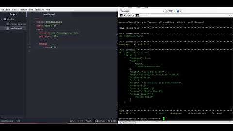 3. NetApp Connectivity using Ansible modules