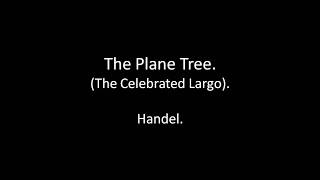 The Plane Tree sung