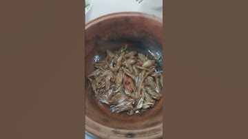 Mời quý vị dùng bữa cơm đạm bạc nhé !