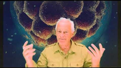 the Phoenix Protocol Viewer Comments and Questions #fasting #livetipsandtricks