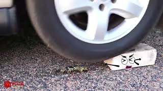 Crushing Crunchy & Soft Things By Car | EXPERIMENT WATERMELOlN VS CAR - Unlimited platform screenshot 5