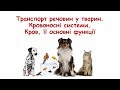 Транспорт речовин у тварин. Незамкнена і замкнена кровоносні системи. Кров