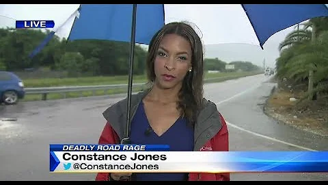 Constance Jones Reporting Sample 2017