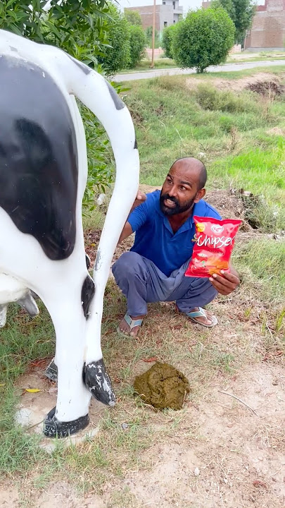 cow 🐄 video 😁 cow bar wali