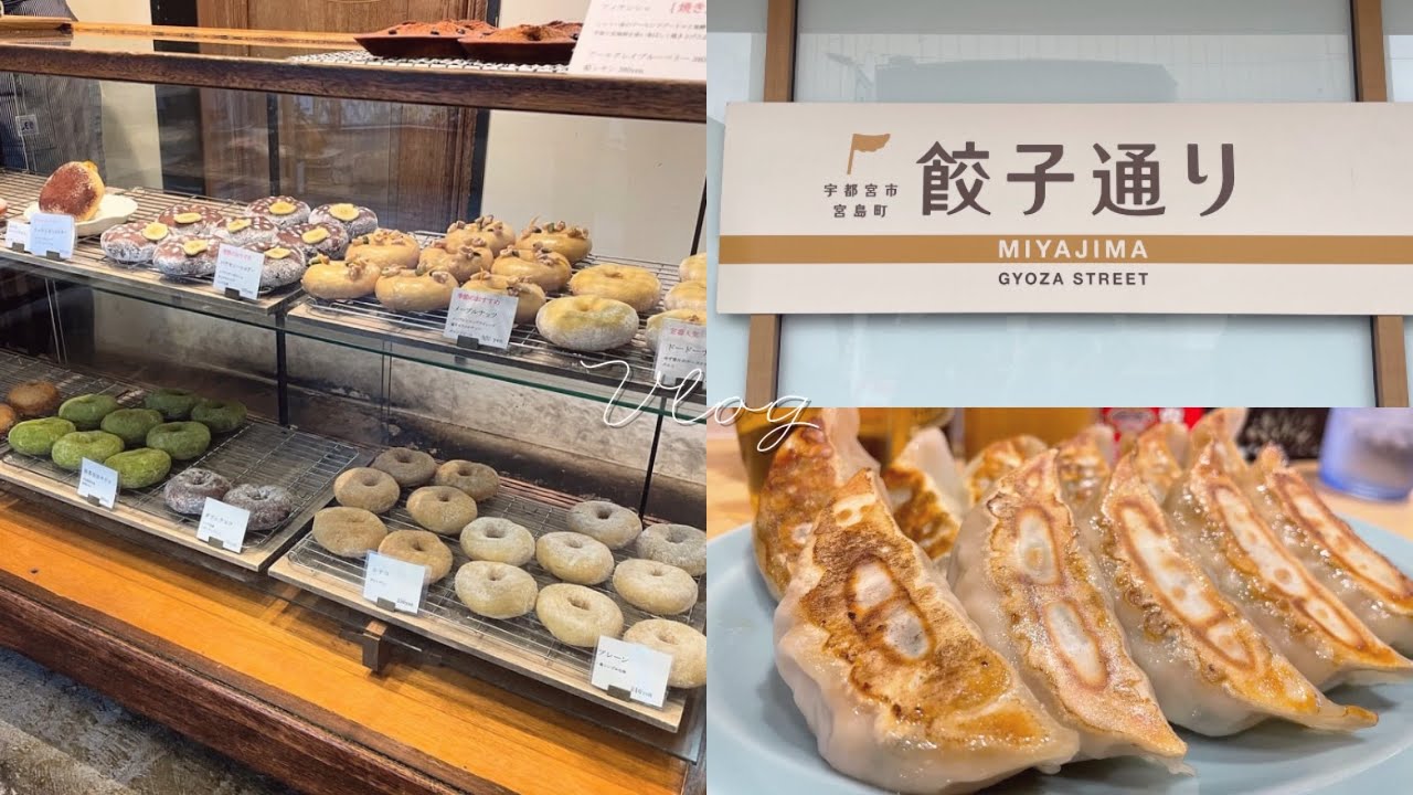 𝗏𝗅𝗈𝗀.）宇都宮日帰り食い倒れ旅˙ʾ⌇餃子3店舗巡り⌇二荒山神社⌇ 焼き鳥⌇ドーナツtakeout🍩⌇よく食べてよく笑って心を満たす休日⌇