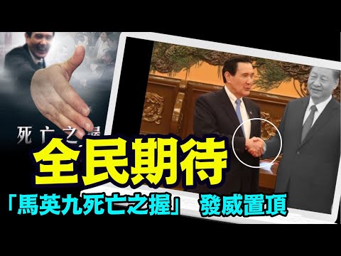 “无数名人倒在一握之下：安倍晋三 作家柏杨 监察院长王作荣 台塑董事长王永庆 圣严法师⋯”No.06（04/10/24）马英九习近平