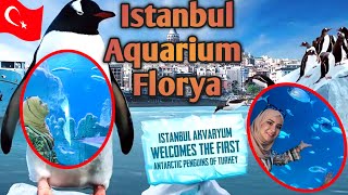 florya Aquarium Istanbulاكبر اكوريوم في اسطنبول/السباحة مع القروش/اجمل ما ستراه عينك في اعمق البحار