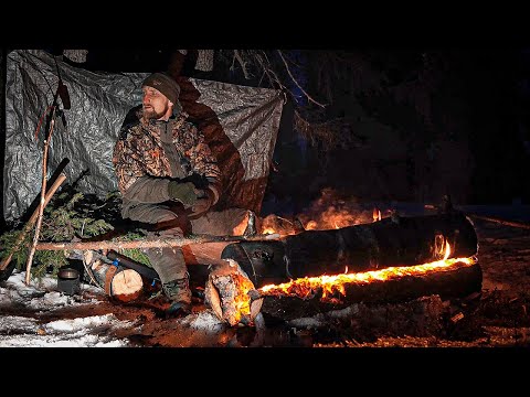 Видео: НАШЛИ МЕДВЕДЯ/ ПОТЕРЯЛ СОБАК/НОЧЕВКИ У КОСТРА