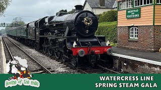 Watercress Spring Steam Gala - 27th April 2024