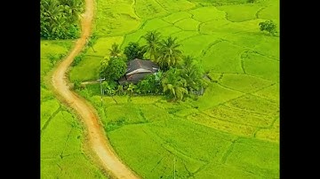 قوة الله ضد السحر | سورة يونس - الآية 81 | تلاوة القرآن