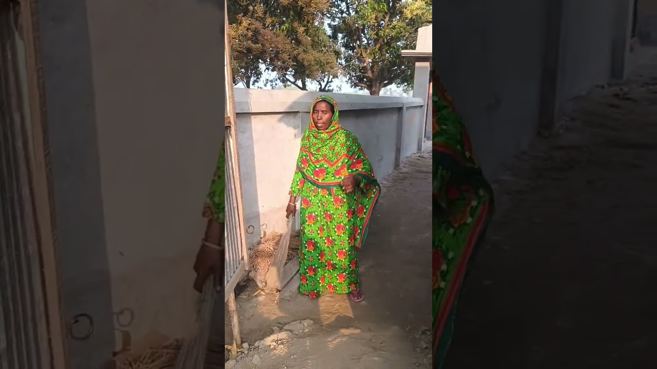 চলে এল আমের মৌসুম