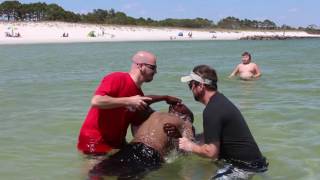 ELC Spring Baptism 2017