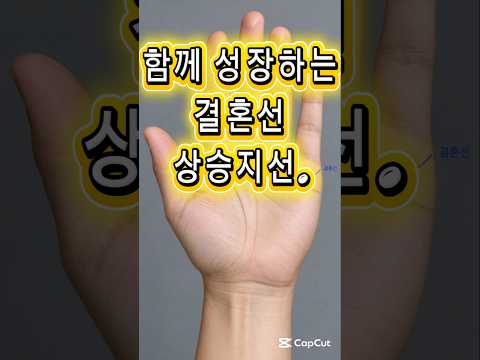 함께 성장하는 결혼선 상승지선 #화담철학관