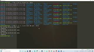 Run Multiple commands Multiple times in Linux | raspberrypi