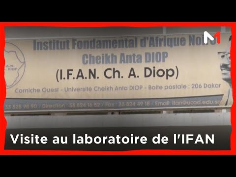 Archologie visite au laboratoire de lIFAN de Dakar