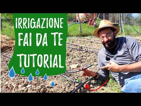 Video: Sistema di irrigazione a goccia fai-da-te. Come fare da soli l'irrigazione a goccia?