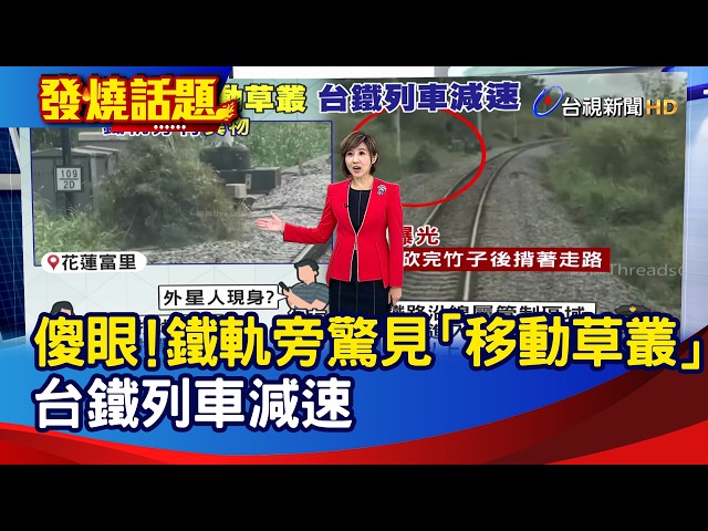 傻眼！鐵軌旁驚見「移動草叢」 台鐵列車減速【發燒話題】-20260210