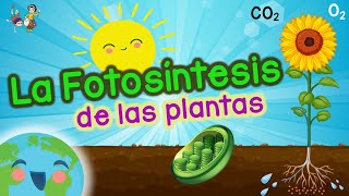 La Fotosintesis de las Plantas: La Fotosintesis es ... (Vídeos Educativos para Niños)