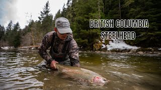 FLY FISHING FOR WILD STEELHEAD IN BRITISH COLUMBIA  A Trip of a Lifetime (Film)