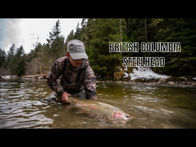 FLY FISHING FOR WILD STEELHEAD IN BRITISH COLUMBIA - A