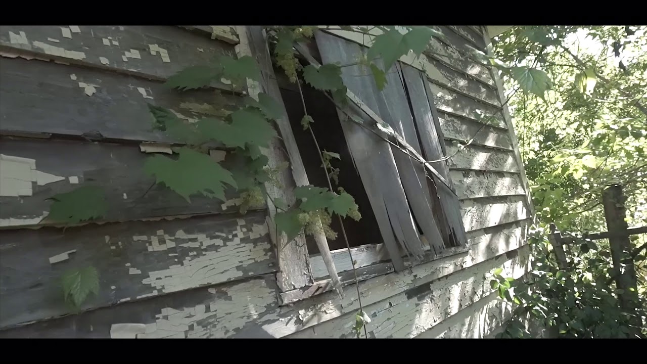 DeeBee “No drive by” (Official Music Video) Dir by UN1QE Visuals adlı videoyu YouTube'da izle DeeBee “No drive by” (Official Music Video) Dir by UN1QE Visuals adlı videoyu YouTube'da izle