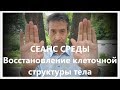 СЕАНС СРЕДЫ. Восстановление клеточной структуры тела. WEDNESDAY. Cell repair. (12.06.19)