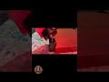 New from Deep Lake Audio for Audiophiles!