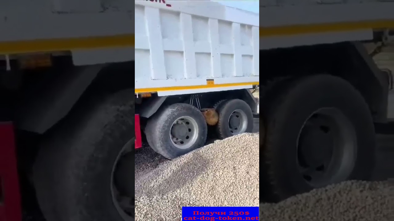 Ум и сообразительность Получи 250💰💰💰, подробности в описание.  