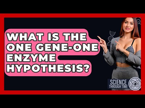 What Is The One Gene-one Enzyme Hypothesis? - Science Through Time